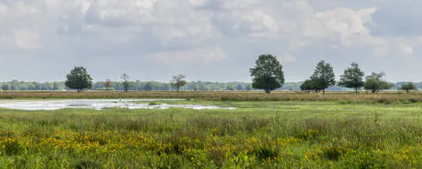 Outdoor survivaldag in Coevorden
